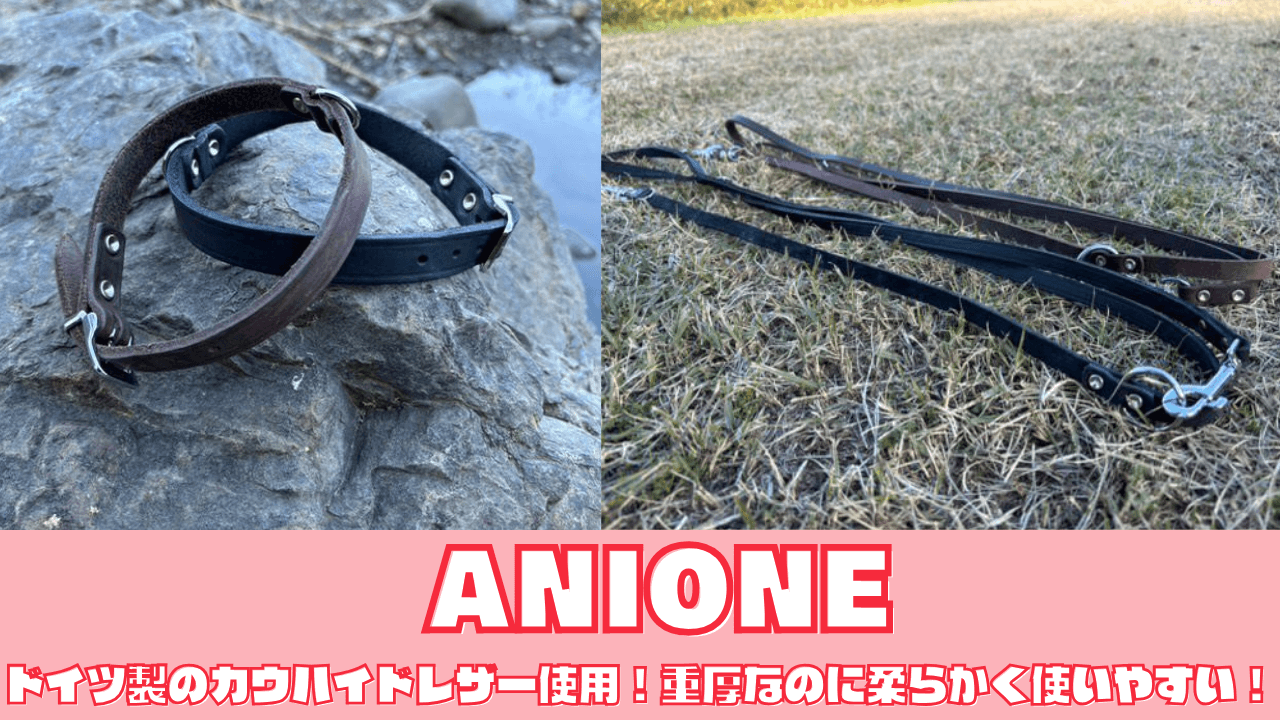 ANIONE