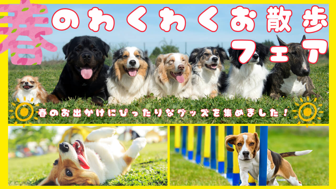 春のわくわくお散歩フェア