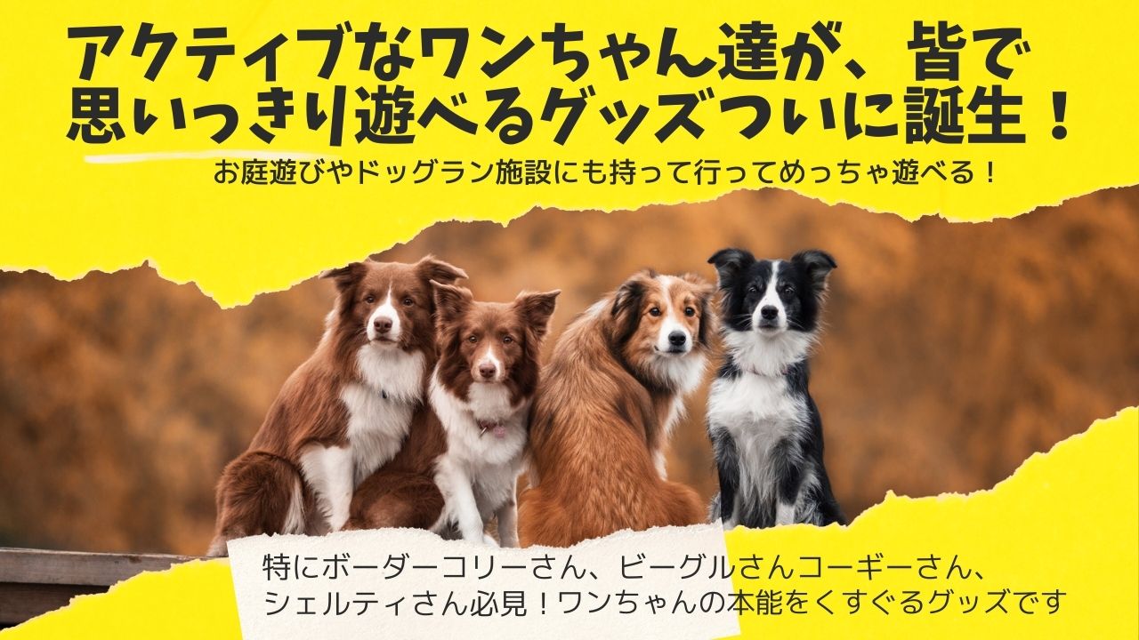 ALLWANバウンドボール