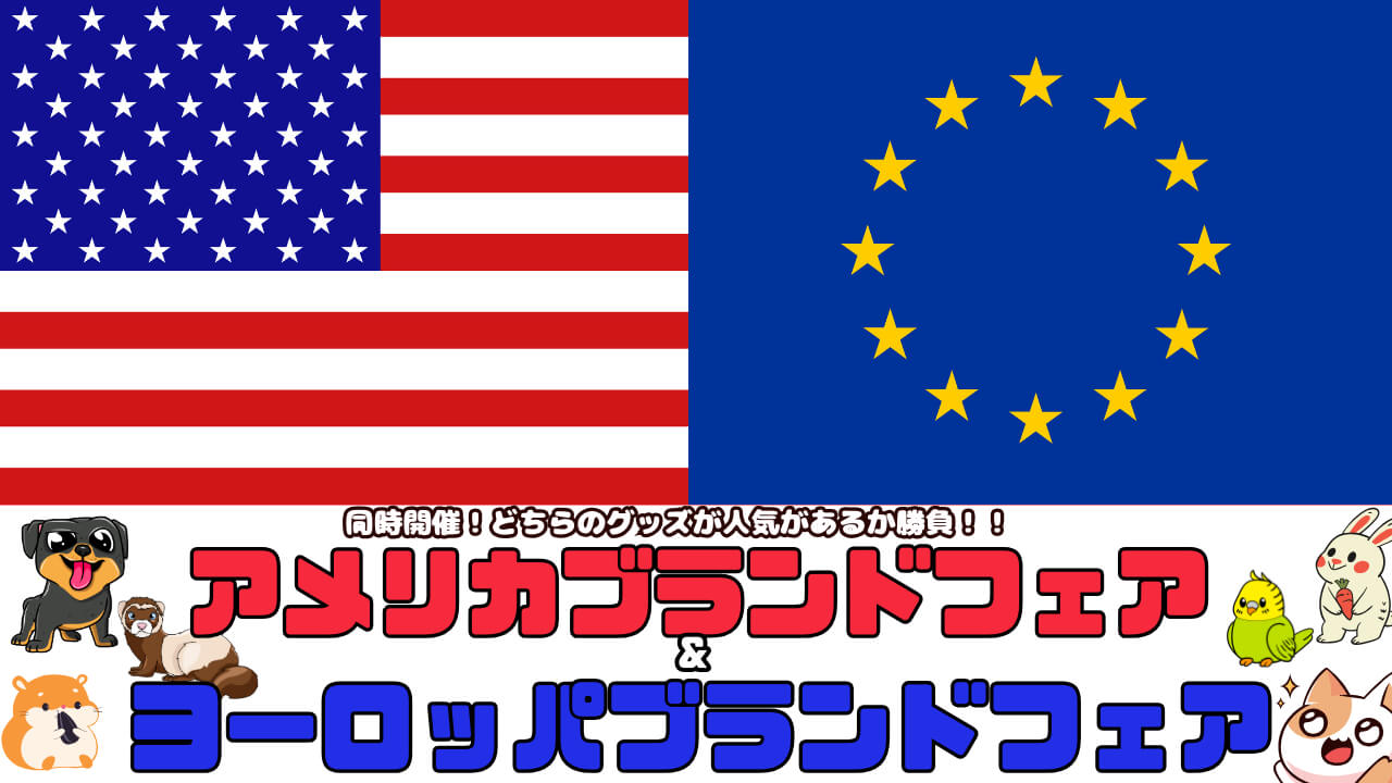 ヨーロッパアメリカフェア