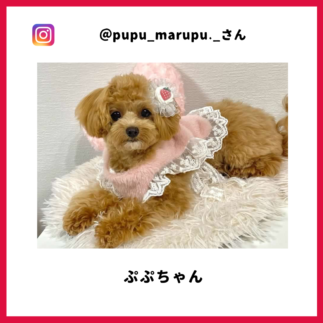 pupu_marupu._