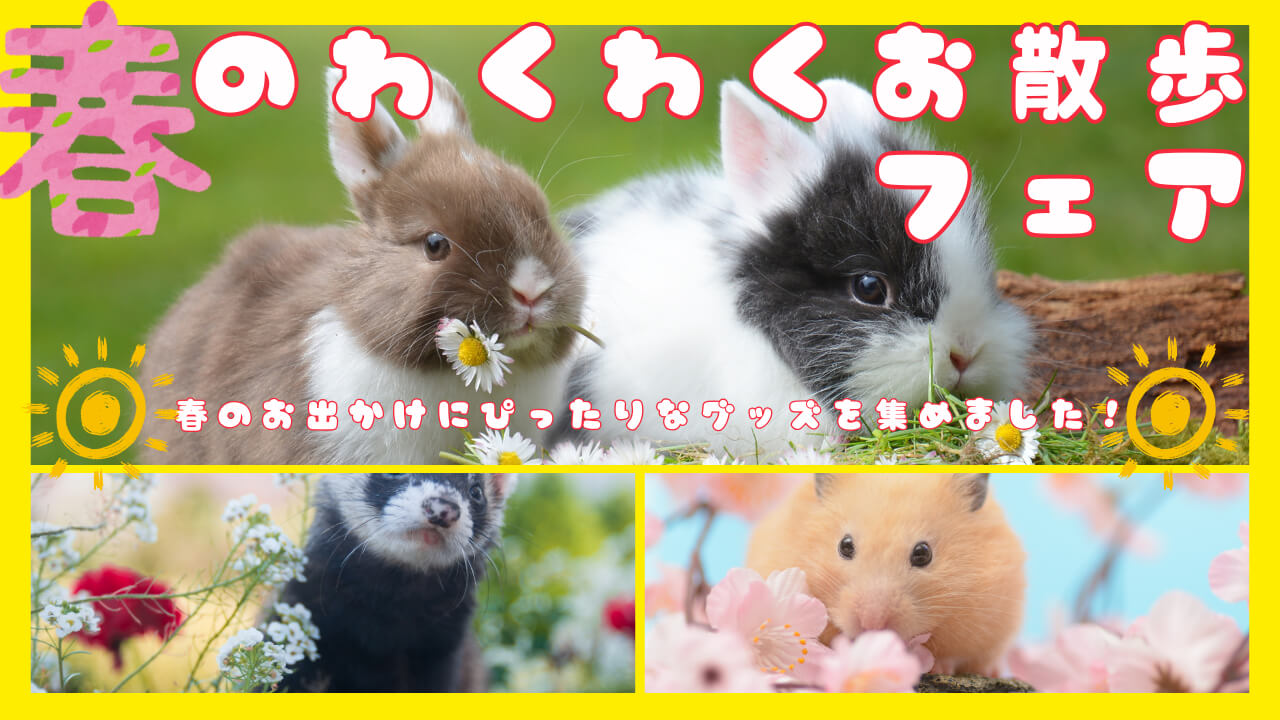 春のわくわくお散歩フェア