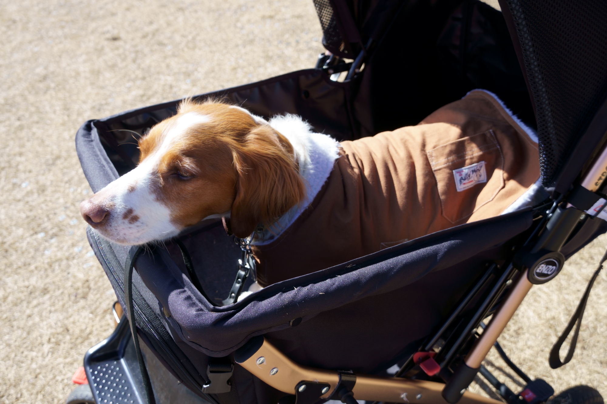 犬用 ペットカート ENZO ペットストローラー RESIN タープ