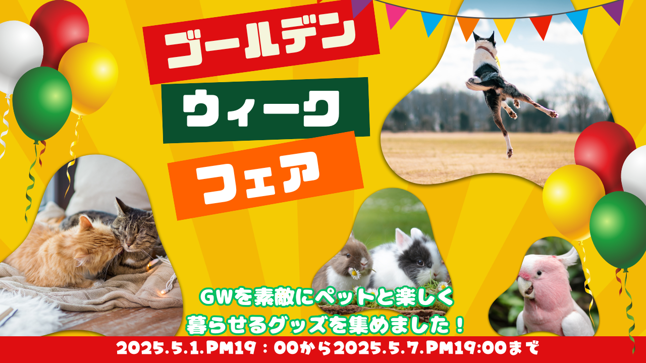 ゴールデンウイークフェア