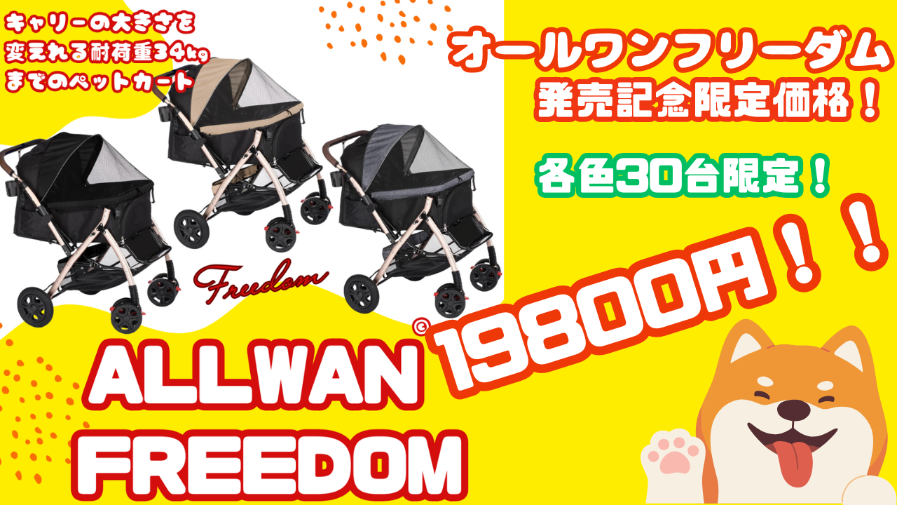 オールワンフリーダム