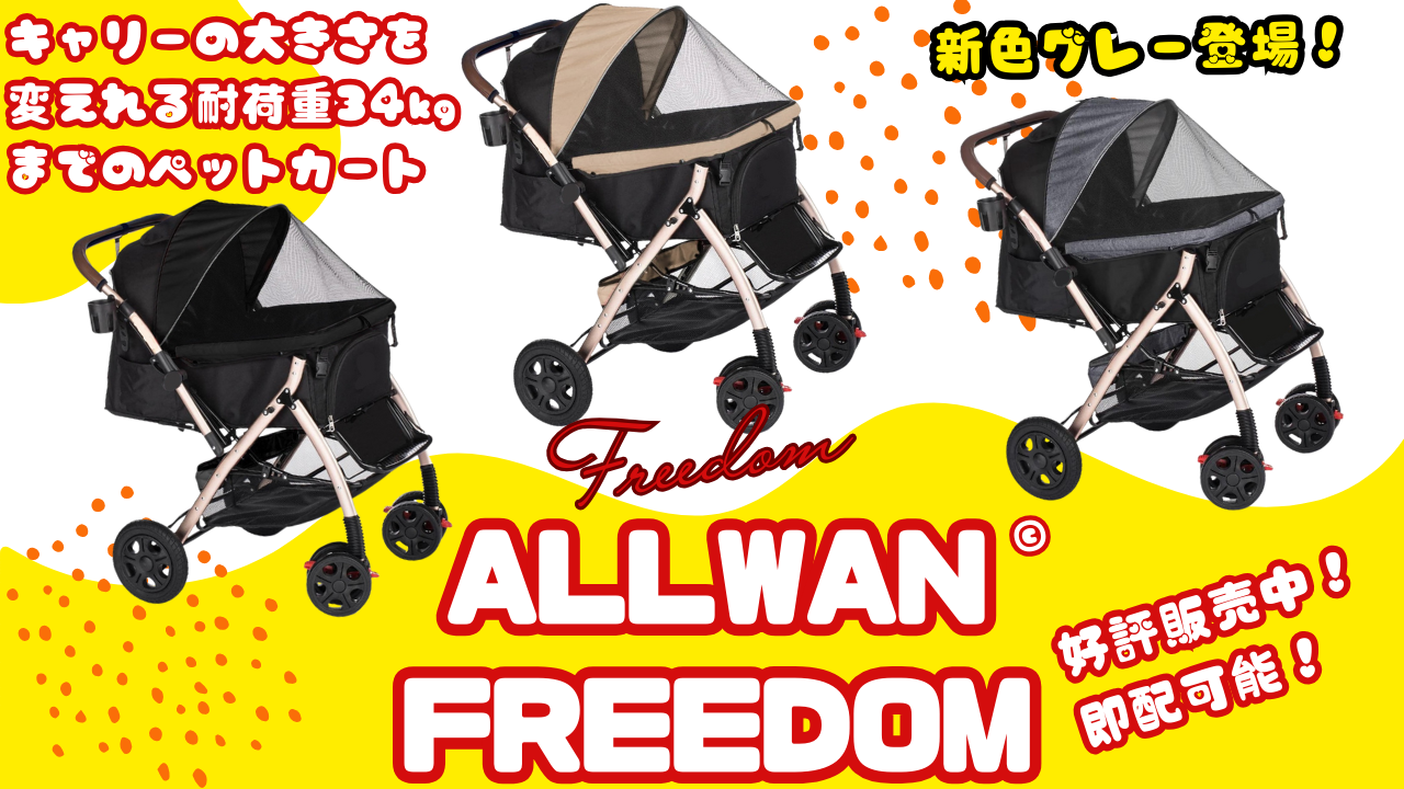 オールワンフリーダム