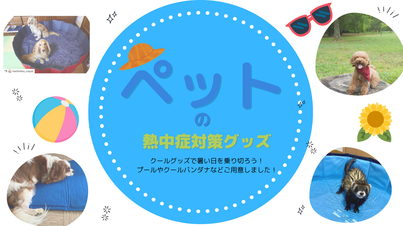 ペットのクールグッズ