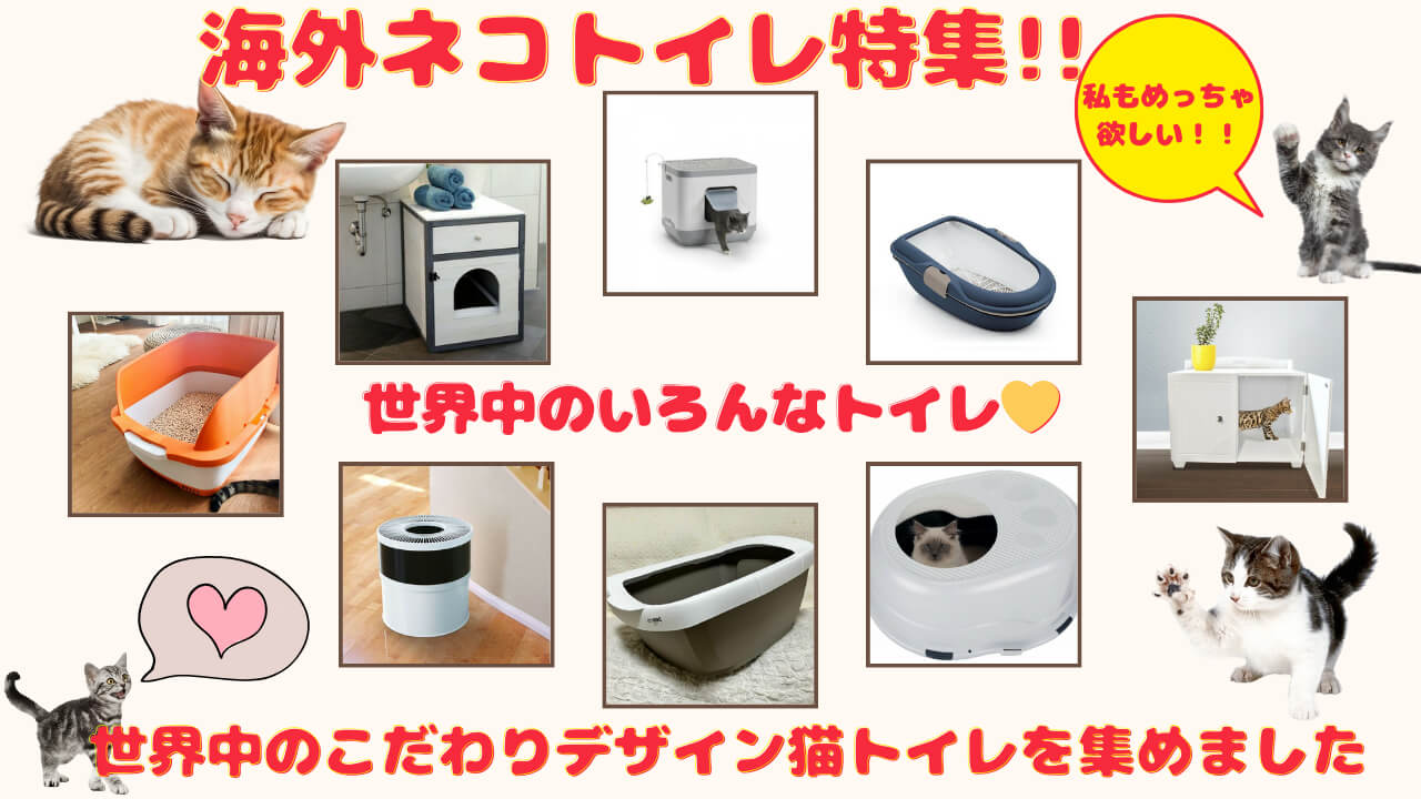 海外猫トイレ特集