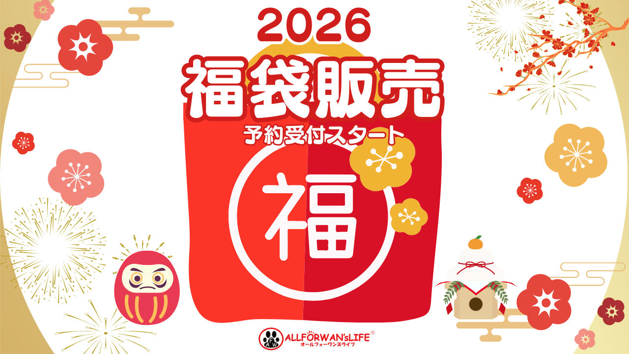 2026新春福袋
