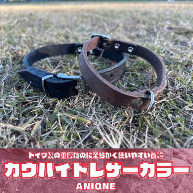 海外ペット用品のセレクトショップ オールフォーワンズライフ 海外ペット用品のセレクトショップ オールフォーワンズライフ