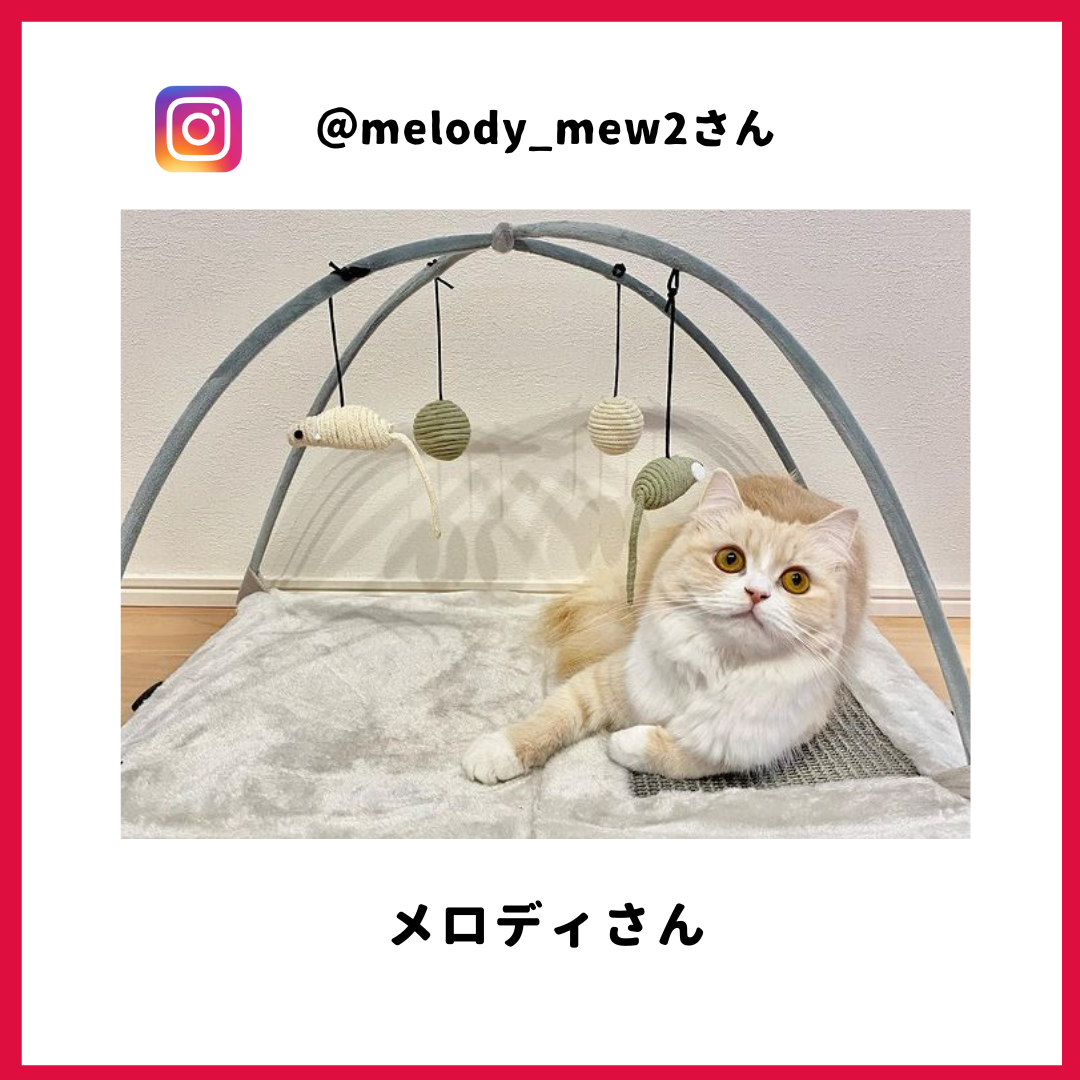 melody