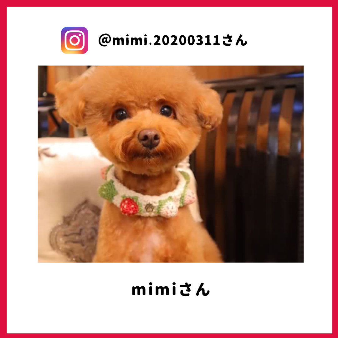 mimi.20200311