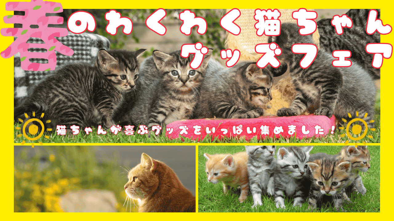 春のわくわくお散歩フェア
