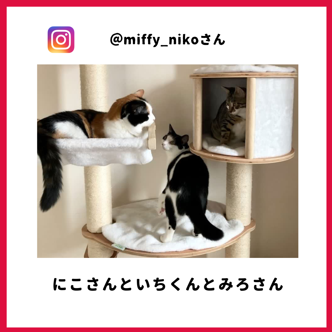 miffy_niko