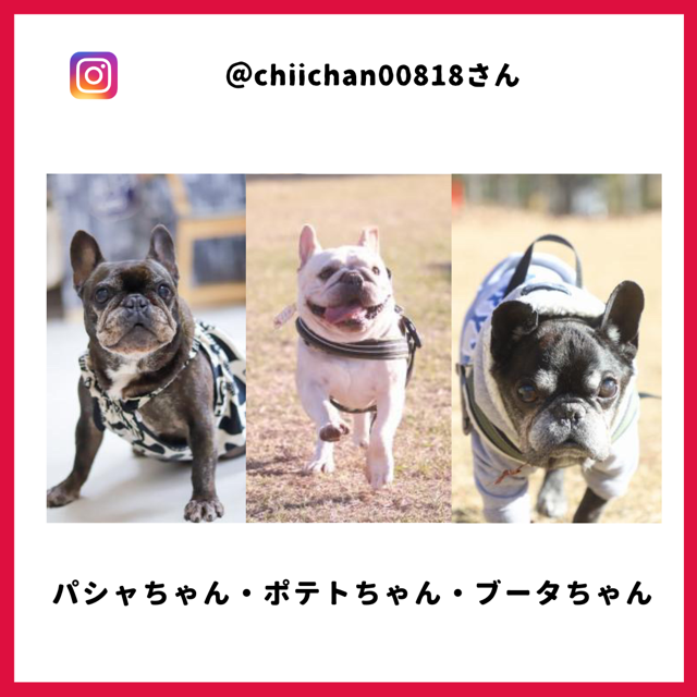 chiichan00818
