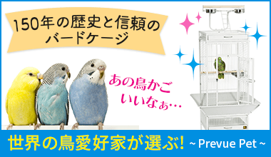 鳥かご インテリア鳥かご 鳥籠 お洒落ハウス 鳥の家 鳥 Cna Gob Bo 鳥かご インテリア鳥かご 鳥籠 お洒落ハウス 鳥の家 鳥 Cna Gob Bo