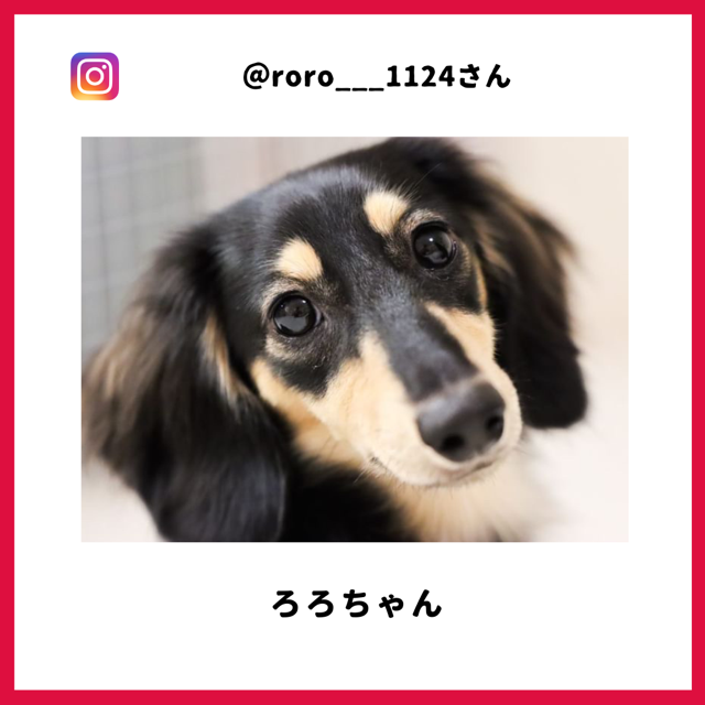 roro___1124