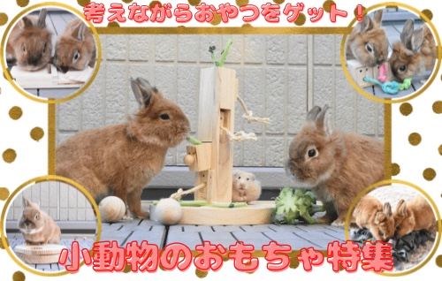 小動物のおもちゃ特集