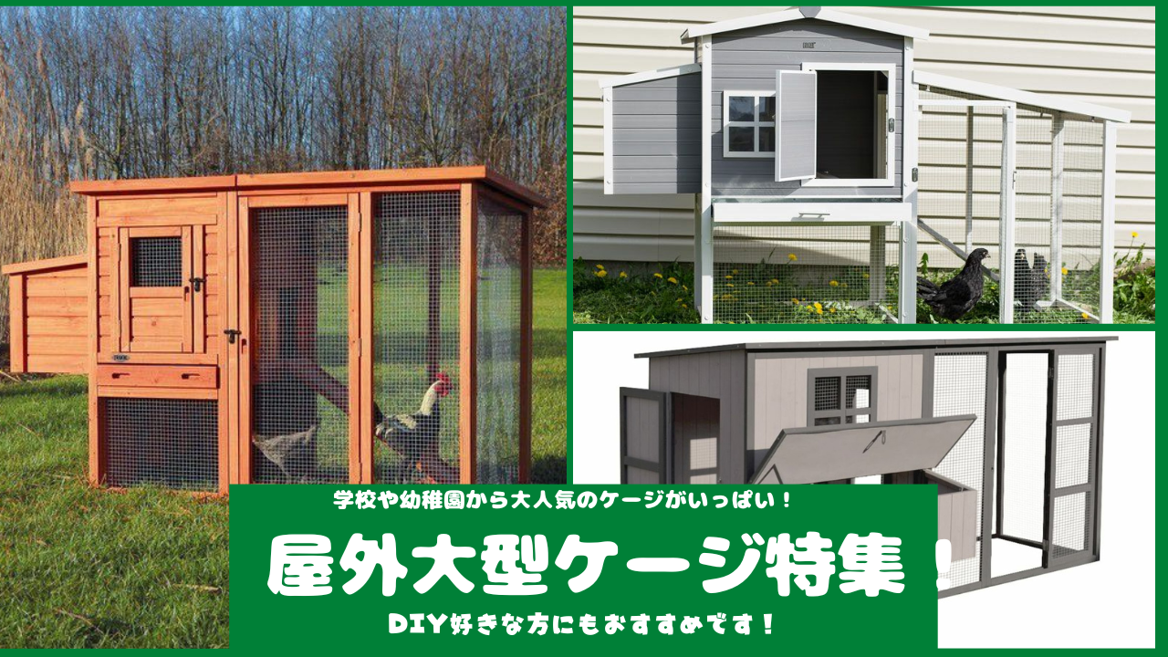 屋外大型ケージ