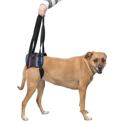 犬用 Walkin Wheels ウォーキンホイールズ ウォーキンリフトコンボハーネス リア後ろ足用M 歩行補助ハーネス  オリジナルペットシーツと海外ペット用品のセレクトショップ ALLFORWAN'sLIFE（オールフォーワンズライフ）