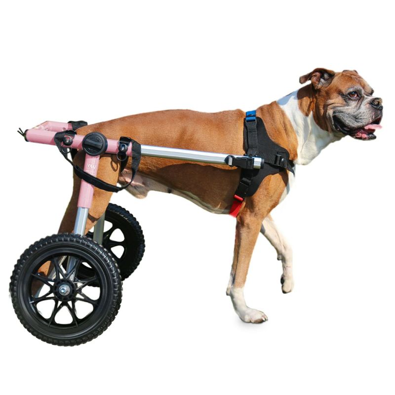 ウォーキンホイールズ　犬 車椅子 犬用 車椅子 Walkin Wheels ウォーキンホイールズ ドッグホイール
