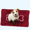 犬用 ペットベッド Soggy Doggy Doormat ソギードギードアマットXLサイズ Cranberry/oatmeal bone