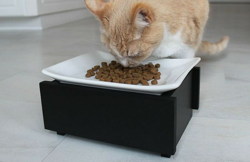 猫用 フードボウル Trendy Pet 猫用食器 ウイスカーストレスフリーキャットフィーダーボウル ブラック