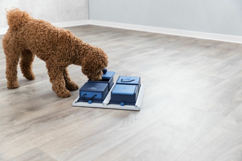犬用 おもちゃ TRIXIE トリクシー  知育玩具 ドッグアクティビティ ポーカーボックス