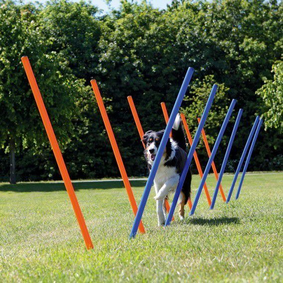 犬用 アジリティグッズ TRIXIE トリクシー  ドッグアクティビティ アジリティスラローム