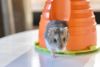 小動物用 ハウス SAVIC  ベルギーサヴィッチ ハムスターハウス ミニプレイハウス