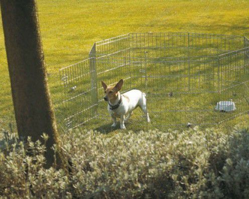 犬用 サークル ベルギーSAVIC サヴィッチ 屋外サークル ドッグパーク1 ドライブ アウトドア