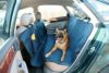 犬用 ドライブ用品 KERBL ケアブル  後部座席用 セーフティカーシートカバー ネイビー1.40×1.50m CAR