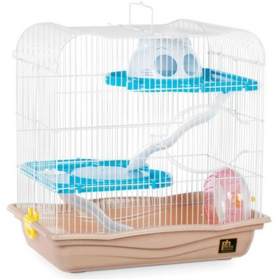 PrevuePet/プレビューペットのペット用品通販ならALLFORWAN'sLIFE