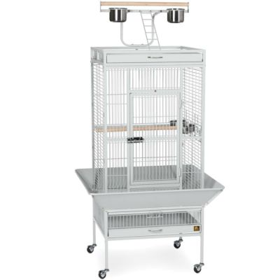 鳥用品の通販ページ 海外のペット用品ブランドならALLFORWAN