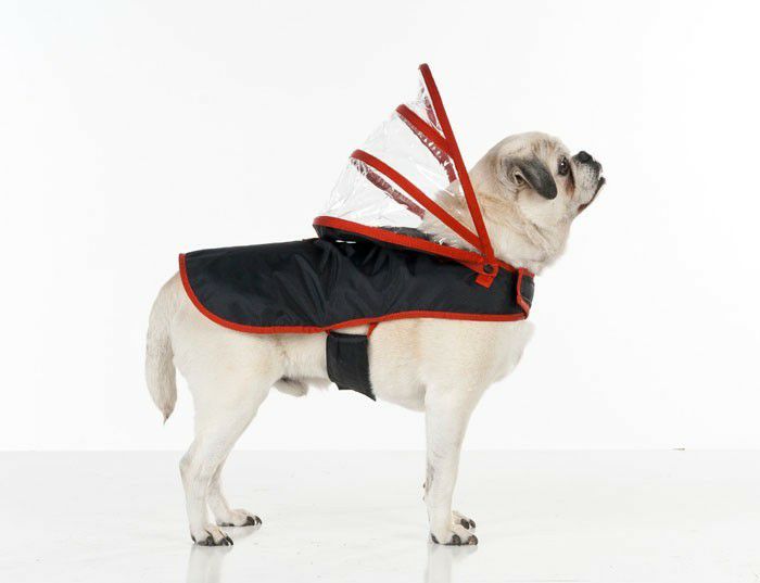 犬用 レインコート PushPushi ドッグレインコート ブラック＆レッド XLサイズ
