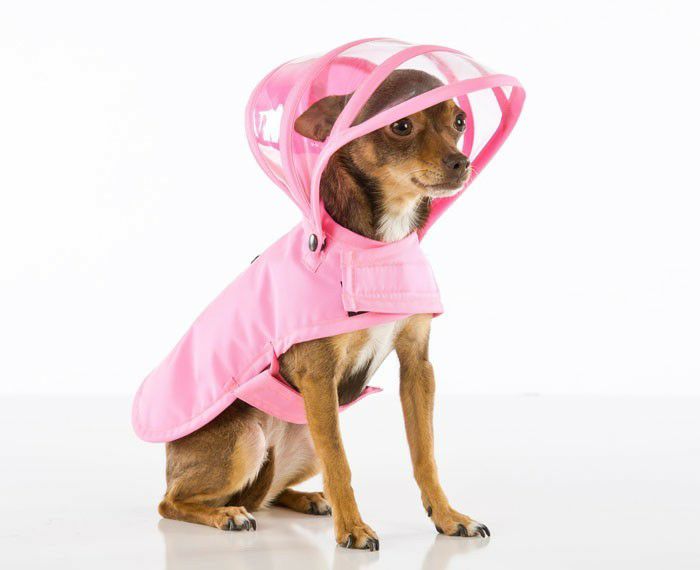 犬用 レインコート PushPushi ドッグレインコート ピンク Lサイズ