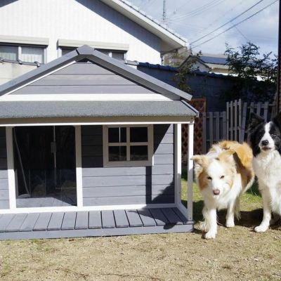 犬用 犬小屋 ニューホームタウンドッグハウス with テラスL ALLWAN 大型犬 屋外 用 犬 小屋 屋外用 大型犬 木製 テラス付き