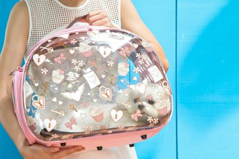 犬用 キャリーバッグ 台湾イビヤヤ ibiyaya ハードケースキャリア バレンタイン