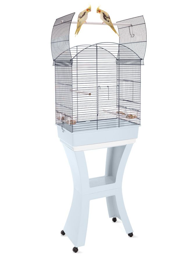 鳥用 鳥かご イタリアIMAC バードケージ カーラ ライトブルー  