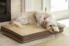 犬用 ベッド NEWAGEPET ニューエイジペット ホームクッションベッドMサイズ