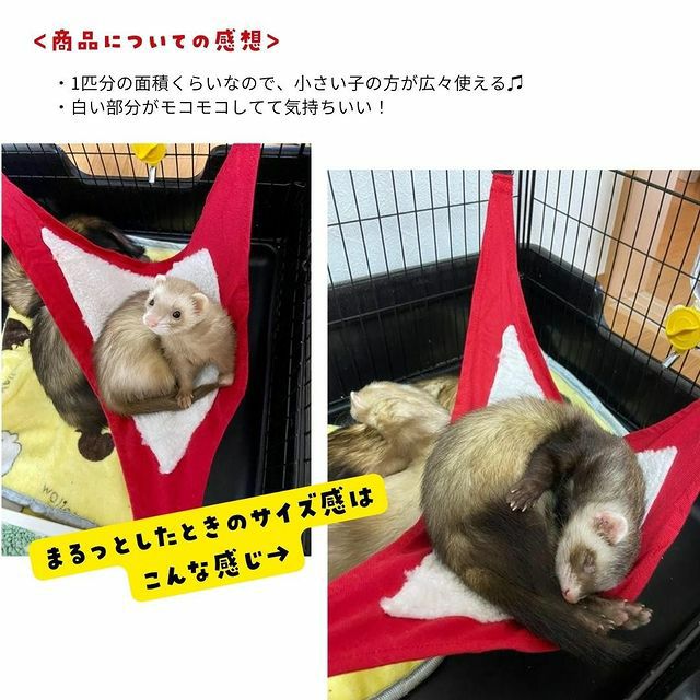 小動物用 おもちゃ Marshallpet マーシャルペット ハンモック