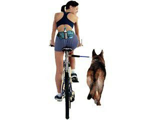 犬用 ドライブグッズ カーリー KARLIE お散歩グッズ ウォーキードッグプラス 自転車用