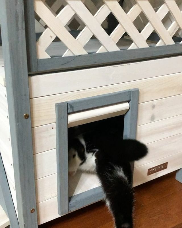 猫用 キャットタワー KERBL ケアブル キャットハウス ロッジ 猫用 キャットタワー KERBL ケアブル キャットハウス ロッジ
