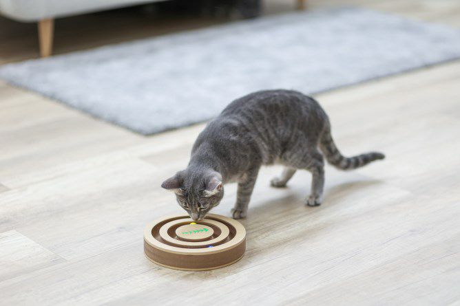 猫用 おもちゃ KERBL ケアブル  知育玩具 シンキング＆ラーニングトイ エキサイティング