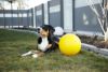 犬用 ドッグアジリティ KERBL ケアブル おもちゃ ドッグプレイングボール