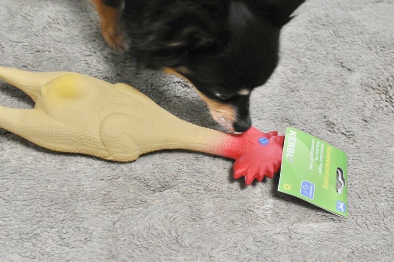 犬用 おもちゃ KERBL ケアブル スクイーカーラテックスチキンL