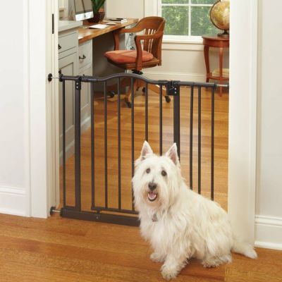 犬用 ペットゲート NORTHSTATES  ノースステイツ ウインザーアーチペットゲート ブロンズ