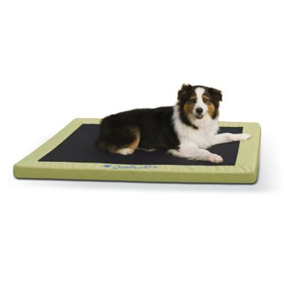 犬用 ベッド K&Hペットプロダクツ  コンフィドライペットベッドL ライムグリーン  KHPET