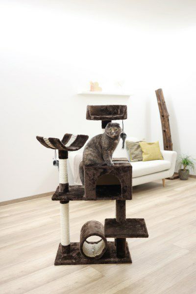 猫用 キャットタワー KERBL ケアブル スクラッチポスト サファリビッグ キャット タワー 大型 猫 用