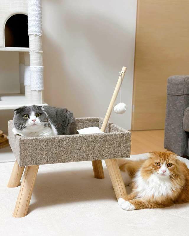 猫用 キャットタワー ベルギーFLAMINGOPET スキャンディベッドベージュ